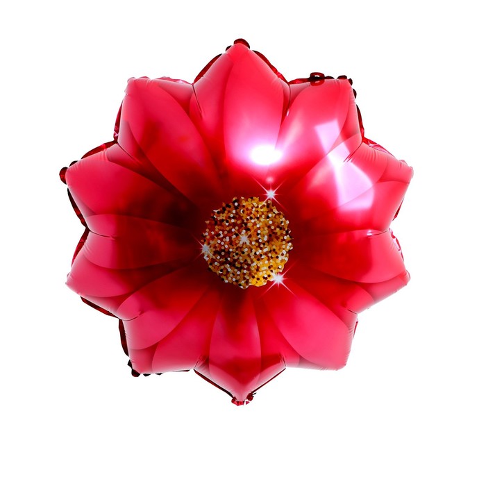 Шар фольгированный 18" «Красная гербера»
Шар фольгированный 18" «Красная гербера»
