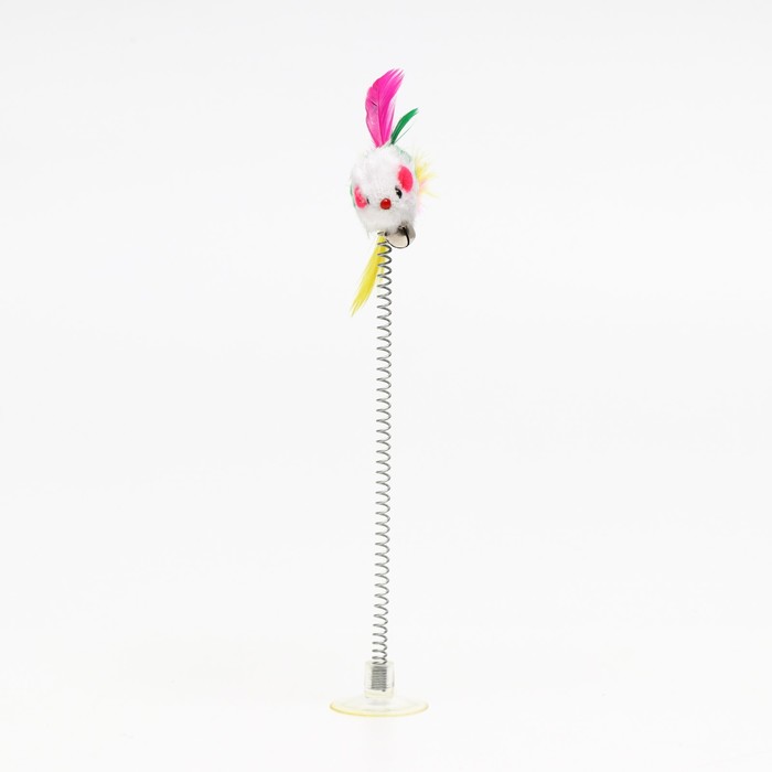 Дразнилка на прозрачной присоске "Мышка", 18 см, микс цветов
Дразнилка на прозрачной присоске "Мышка", 18 см, микс цветов