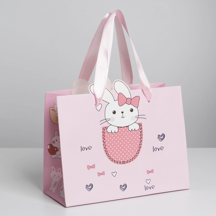 Пакет «Зайчик в кармашке», 22 х 10 х 17 см
Пакет «Зайчик в кармашке», 22 х 10 х 17 см
