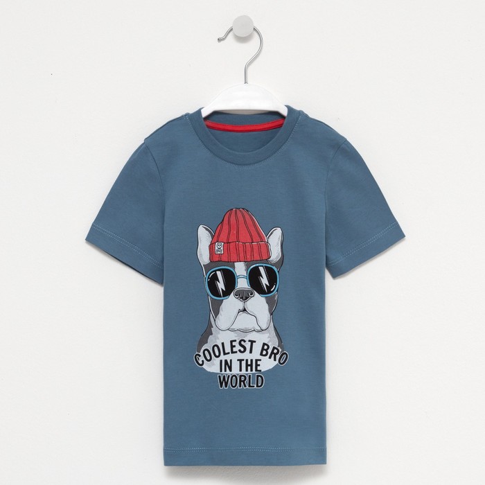 Футболка для мальчика, цвет серо-голубой/собака, рост 110-116 см
Футболка для мальчика, цвет серо-голубой/собака, рост 110-116 см