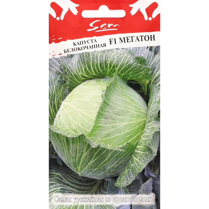 Семена Капусты белокочанной "Мегатон", F1, 10 шт.
Семена Капусты белокочанной "Мегатон", F1, 10 шт.