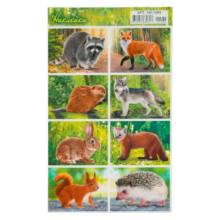 Наклейки "Дикие животные" глиттер, енот, 16 х 9,7 см
Наклейки "Дикие животные" глиттер, енот, 16 х 9,7 см