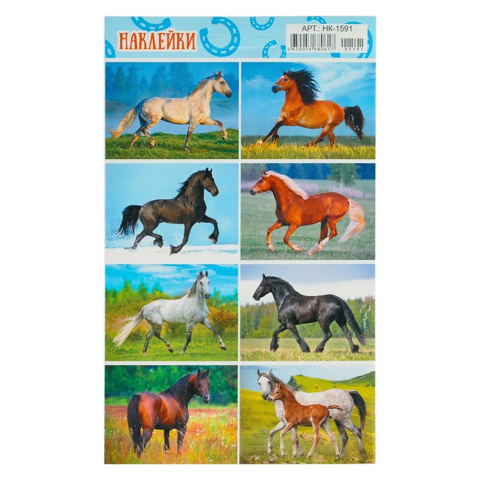 Наклейки "Лошади" глиттер, две черных лошади, 16 х 9,7 см
Наклейки "Лошади" глиттер, две черных лошади, 16 х 9,7 см