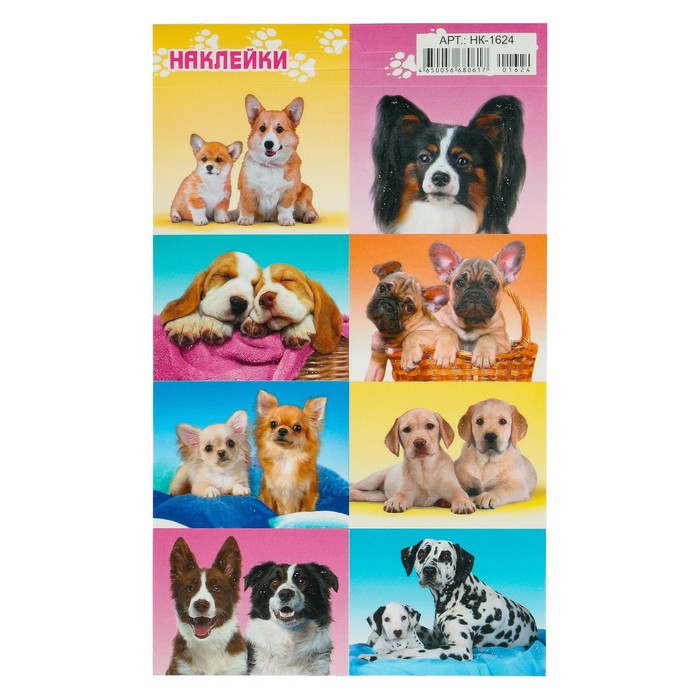 Наклейки "Собаки" глиттер, французкий бульдог, 16 х 9,7 см 
Наклейки "Собаки" глиттер, французкий бульдог, 16 х 9,7 см