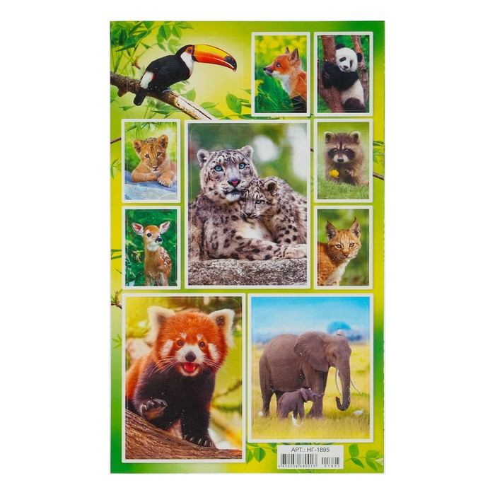 Наклейки "Дикие животные" глиттер, панда, 16 х 9,7 см
Наклейки "Дикие животные" глиттер, панда, 16 х 9,7 см