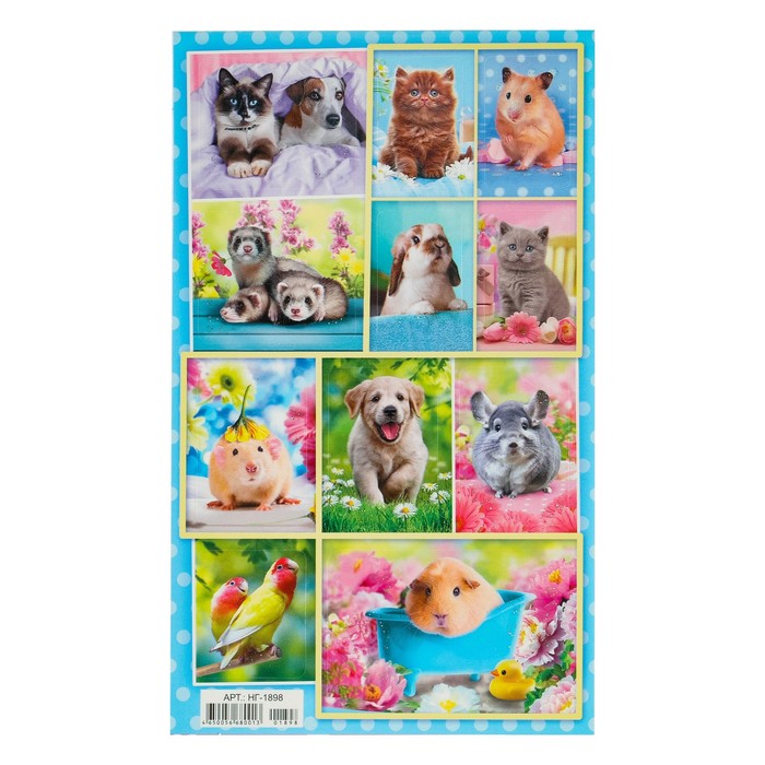 Наклейки "Домашние любимцы" глиттер, рыжие хомяки, 16 х 9,7 см
Наклейки "Домашние любимцы" глиттер, рыжие хомяки, 16 х 9,7 см