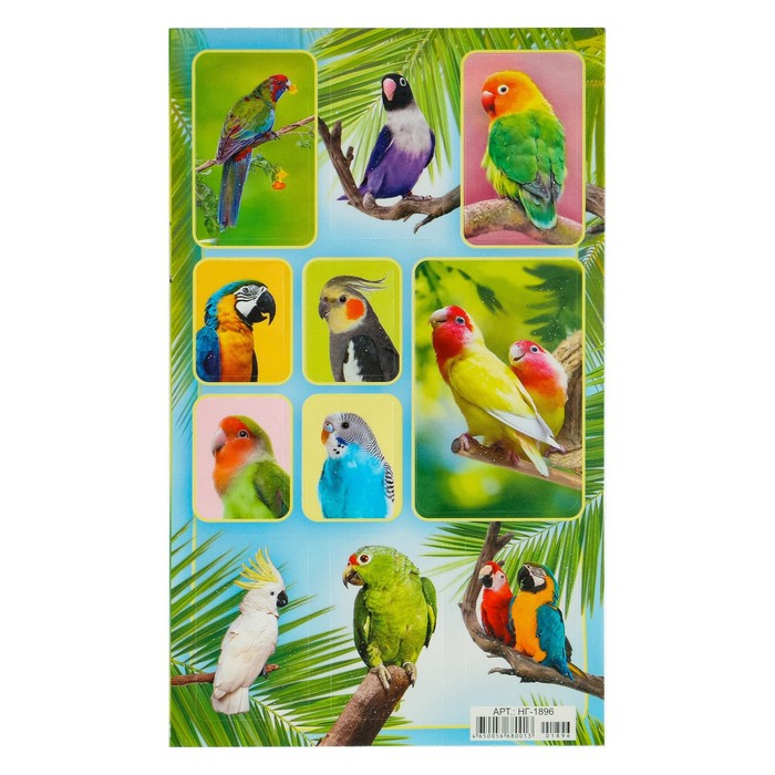 Наклейки "Попугаи" глиттер, на фоне пальм, 16 х 9,7 см
Наклейки "Попугаи" глиттер, на фоне пальм, 16 х 9,7 см