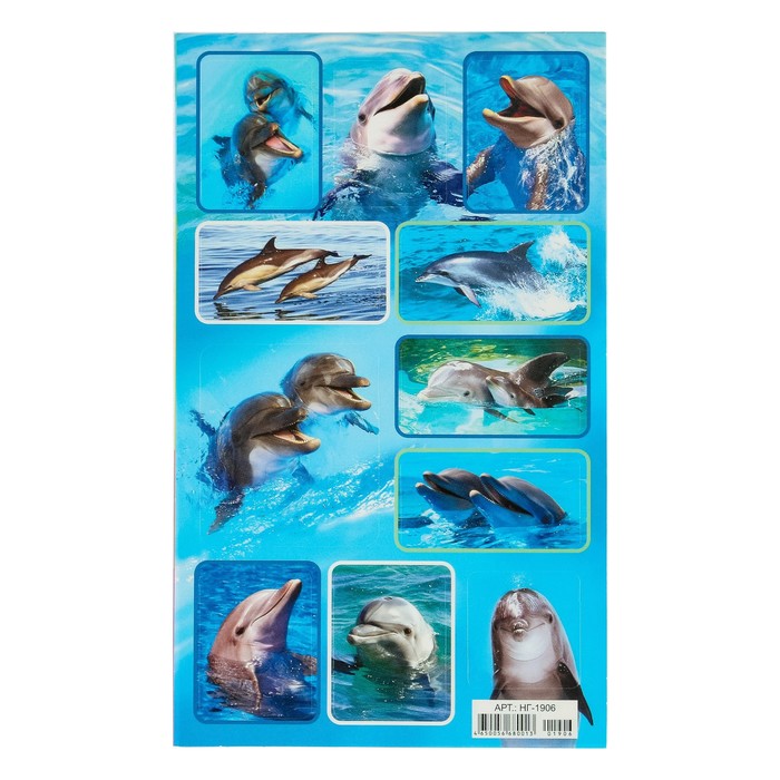 Наклейки "Дельфины" глиттер, в воде, 16 х 9,7 см
Наклейки "Дельфины" глиттер, в воде, 16 х 9,7 см