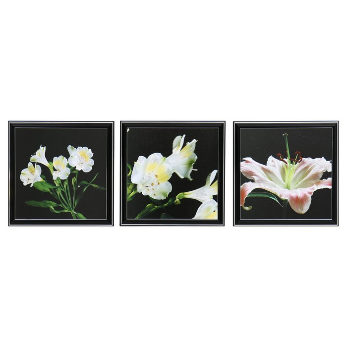 Картина модульная "Цветок" 25х75(28х84) см 3шт-25х25(28х28)см
Картина модульная "Цветок" 25х75(28х84) см 3шт-25х25(28х28)см