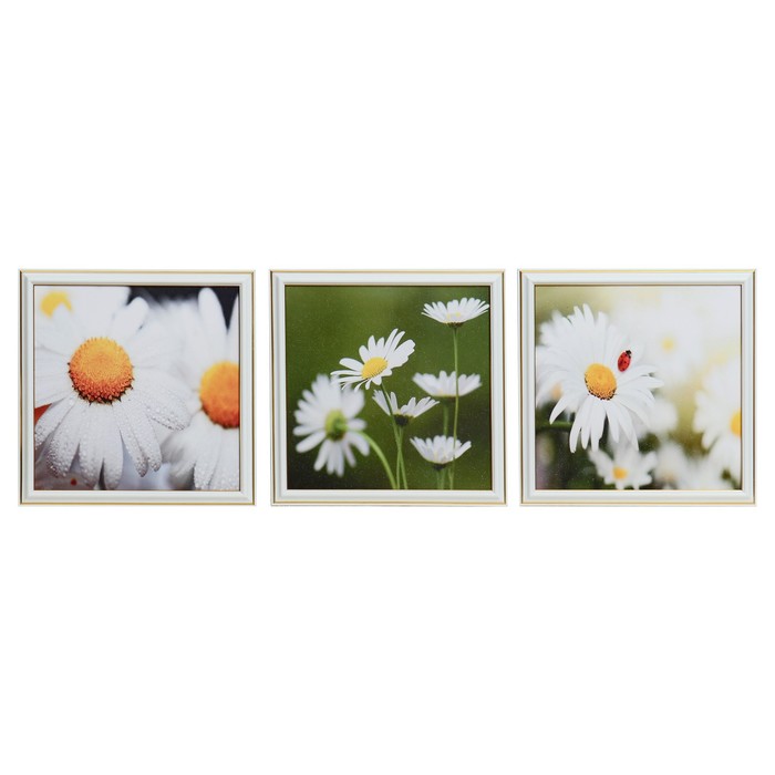 Картина модульная "Ромашки" 25х75(28х84) см 3шт-25х25(28х28)см
Картина модульная "Ромашки" 25х75(28х84) см 3шт-25х25(28х28)см
