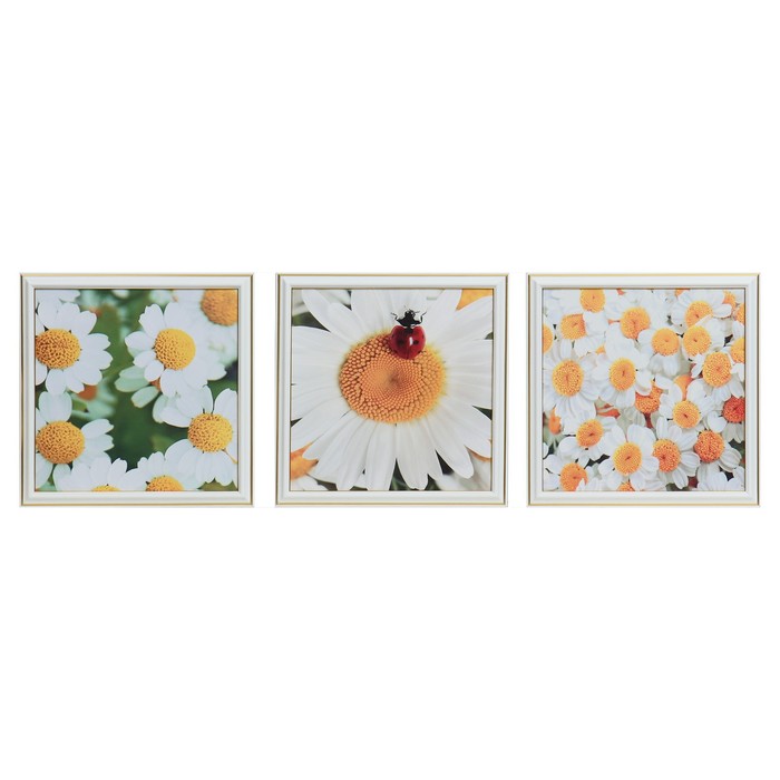 Картина модульная "Букет ромашек" 25х75(28х84) см 3шт-25х25(28х28)см
Картина модульная "Букет ромашек" 25х75(28х84) см 3шт-25х25(28х28)см