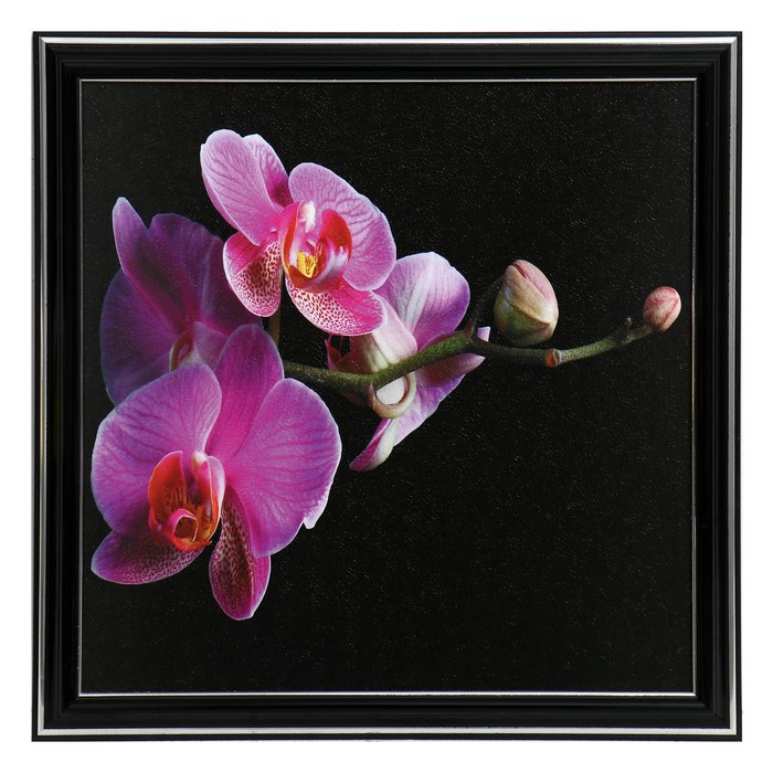 Картина "Цветочек" 25х25(28х28) см
Картина "Цветочек" 25х25(28х28) см