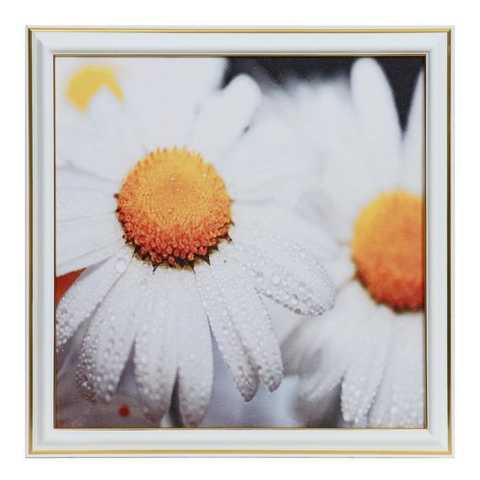 Картина "Ромашки" 25х25(28х28) см
Картина "Ромашки" 25х25(28х28) см