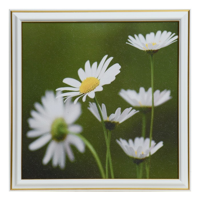 Картина "Белый букетик" 25х25(28х28) см 
Картина "Белый букетик" 25х25(28х28) см