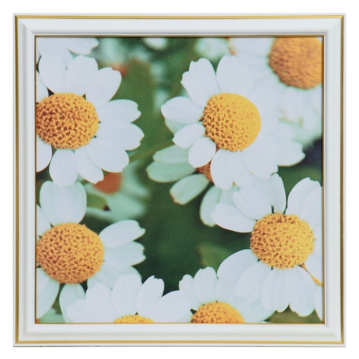 Картина "Белые цветы" 25х25(28х28) см 
Картина "Белые цветы" 25х25(28х28) см