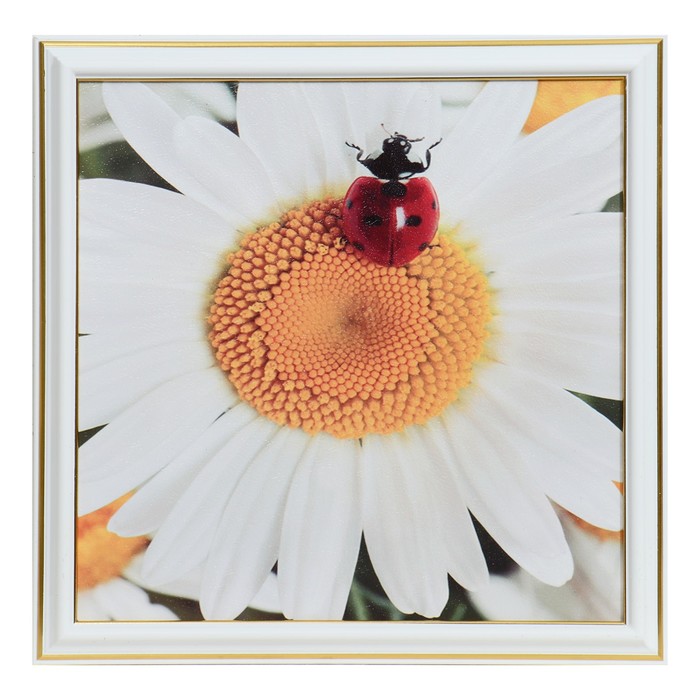 Картина "Божья коровка на цветке" 25х25(28х28) см
Картина "Божья коровка на цветке" 25х25(28х28) см