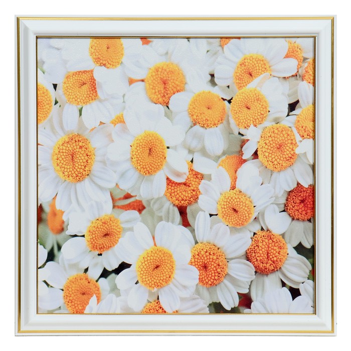 Картина "Букет ромашек" 25х25(28х28) см
Картина "Букет ромашек" 25х25(28х28) см