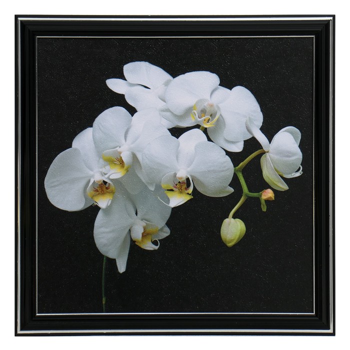 Картина "Белая орхидея" 25х25(28х28) см
Картина "Белая орхидея" 25х25(28х28) см