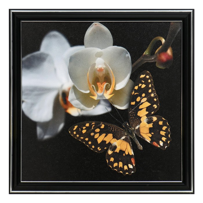 Картина "Бабочка на цветке" 25х25(28х28) см
Картина "Бабочка на цветке" 25х25(28х28) см