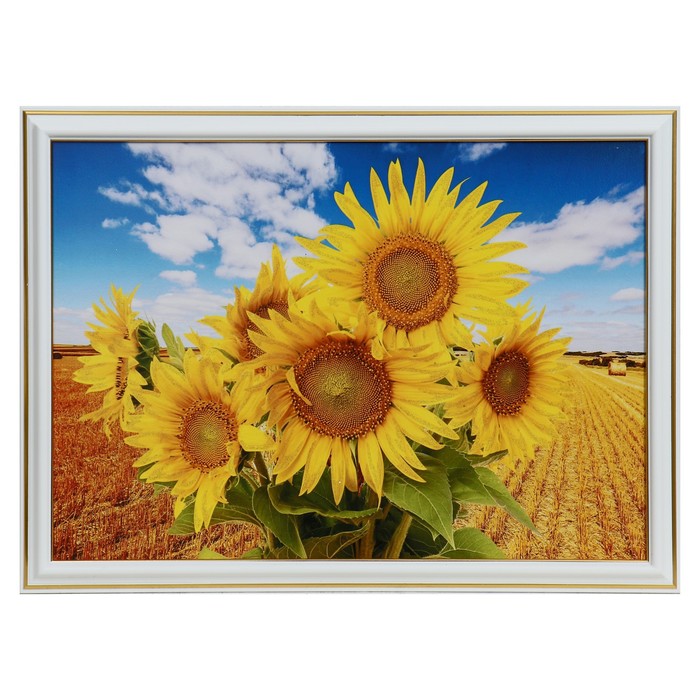 Картина "Подсолнух" 25 х 35(28х38) см
Картина "Подсолнух" 25 х 35(28х38) см