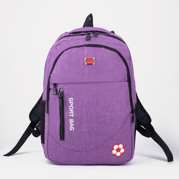 Рюкзак, отдел на молнии, 2 наружных кармана, цвет сиреневый 
Рюкзак, отдел на молнии, 2 наружных кармана, цвет сиреневый