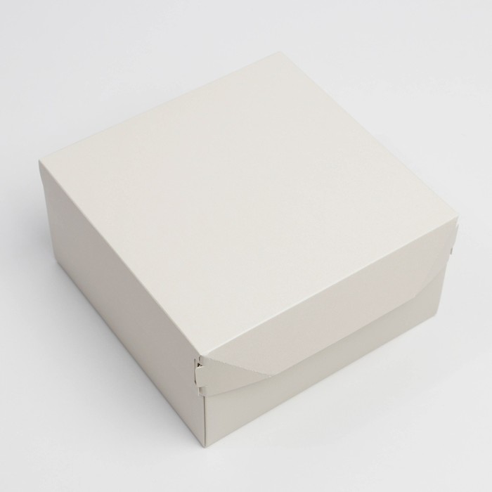 Коробка складная «Бежевый», 17 × 9 × 17 см
Коробка складная «Бежевый», 17 × 9 × 17 см