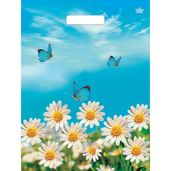 Пакет "Радость лета", полиэтиленовый с вырубной ручкой, 40 х 31 см, 60 мкм
Пакет "Радость лета", полиэтиленовый с вырубной ручкой, 40 х 31 см, 60 мкм