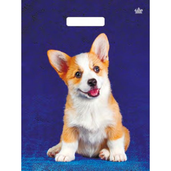 Пакет "Корги", полиэтиленовый с вырубной ручкой, 31х40 см, 60 мкм
Пакет "Корги", полиэтиленовый с вырубной ручкой, 31х40 см, 60 мкм