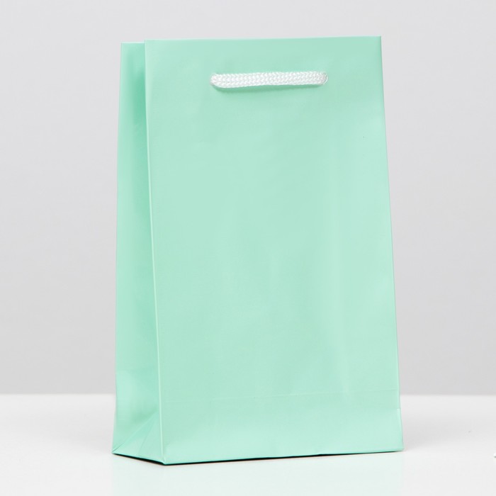 Пакет ламинированный, салатовый, 17,5 х 11,5 х 5 см, набор 12 шт. 
Пакет ламинированный, салатовый, 17,5 х 11,5 х 5 см, набор 12 шт.