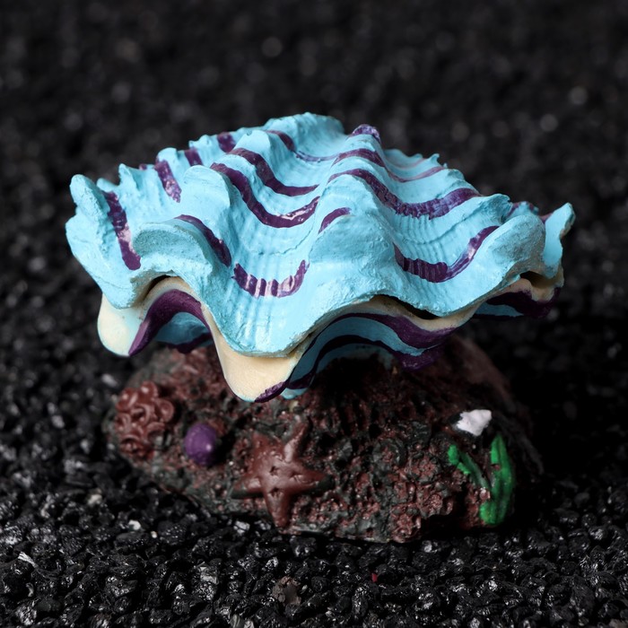 Распылитель "Ракушка", 9,5 х 8 х 8 см
Распылитель "Ракушка", 9,5 х 8 х 8 см