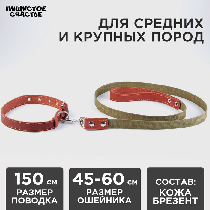 Комплект : ошейник (45-60х2.5 см) кожаный и поводок (150х2.5 см) брезентовый, цвет бежевый
Комплект : ошейник (45-60х2.5 см) кожаный и поводок (150х2.5 см) брезентовый, цвет бежевый