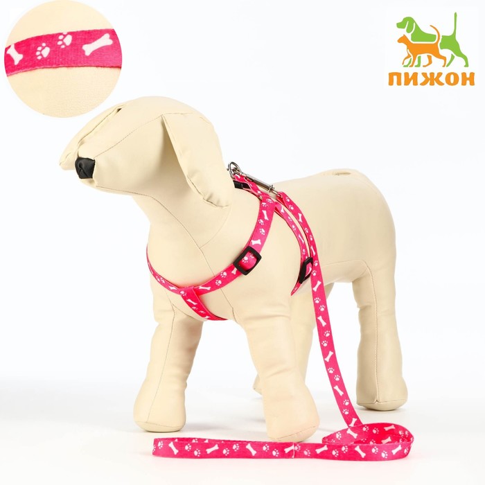 Комплект капроновый "Косточки и лапки", поводок 120 х 1,5 см, ОГ 30-44 см, розовый
Комплект капроновый "Косточки и лапки", поводок 120 х 1,5 см, ОГ 30-44 см, розовый