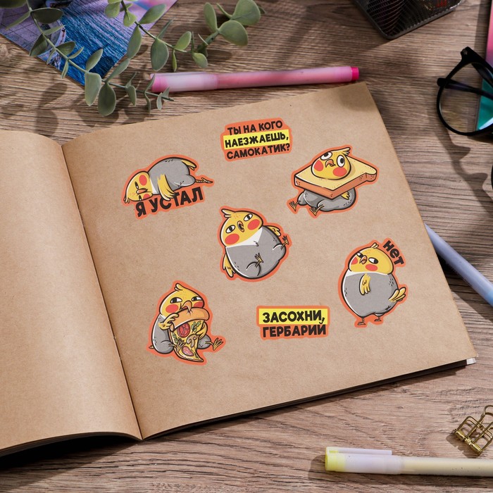 Наклейки бумажные «Цыпа», 14 × 21 см 
Наклейки бумажные «Цыпа», 14 × 21 см