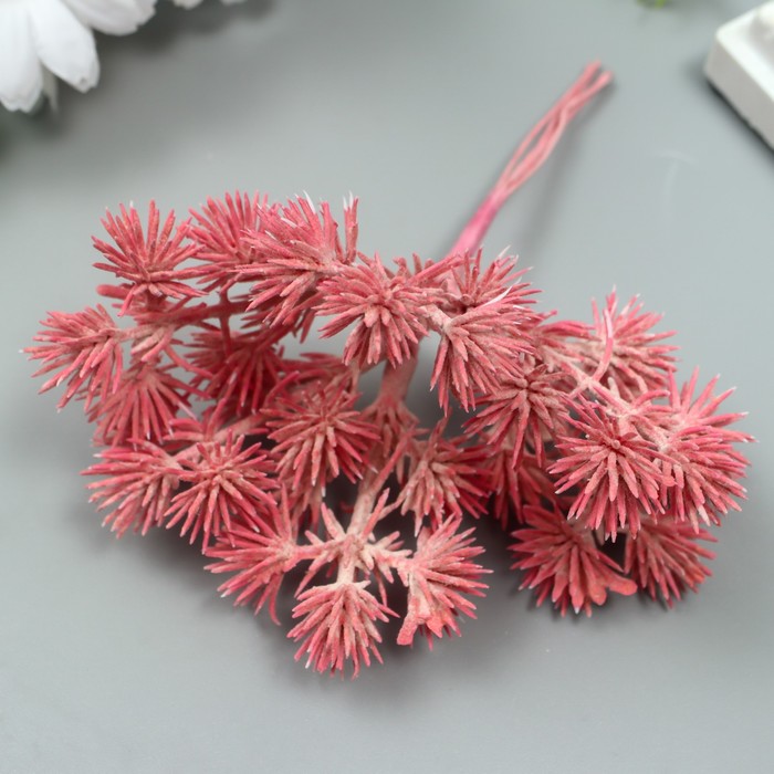 фото Искусственное растение для творчества "еловые шарики" 1 букет=6 веточек малиновый 14 см