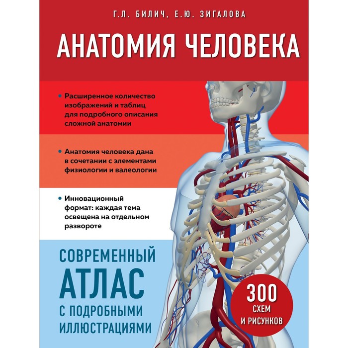 Анатомия человека. Современный атлас с подробными иллюстрациями. Билич Г.Л., Зигалова Е.Ю.
Анатомия человека. Современный атлас с подробными иллюстрациями. Билич Г.Л., Зигалова Е.Ю.