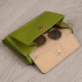 FA011LMB Кошелек на кнопке, отдел для купюр/монет, цвет светло-зеленый 9,6х7,3х3см
FA011LMB Кошелек на кнопке, отдел для купюр/монет, цвет светло-зеленый 9,6х7,3х3см