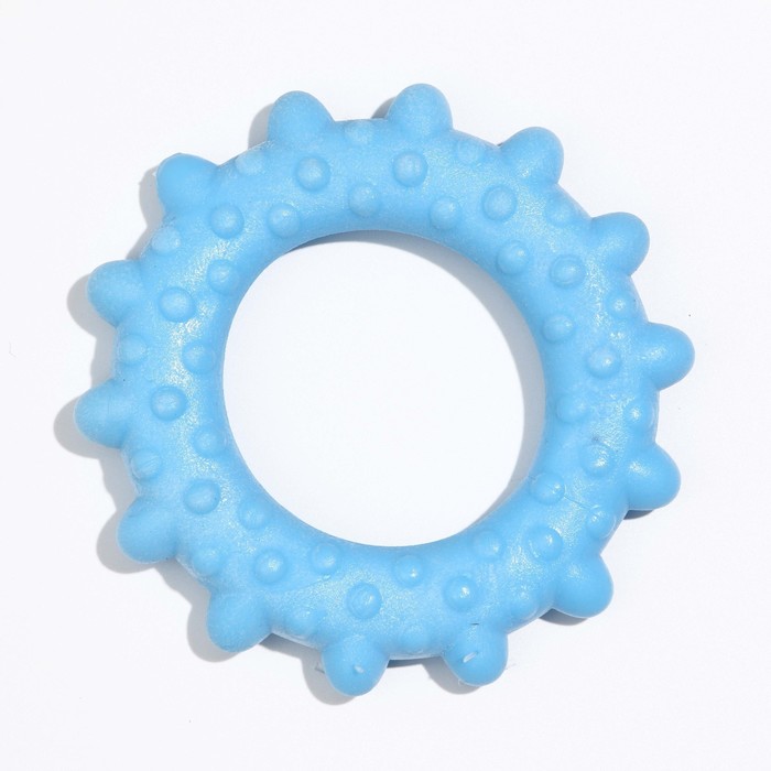 фото Игрушка плавающая для собак "кольцо с шипами" пижон premium, вспененный tpr, 8 см, голубая