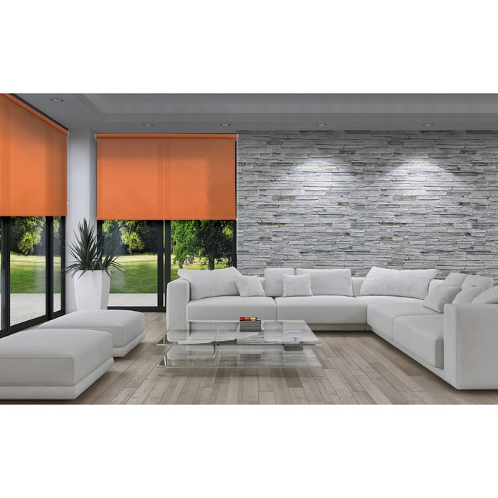 фото Рулонная штора «плайн», 80х175 см, цвет оранжевый уют