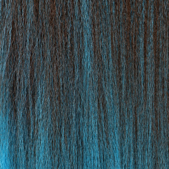 SIM-BRAIDS Канекалон двухцветный, гофрированный, 65 см, 90 гр, цвет русый/голубой(#FR-18)
SIM-BRAIDS Канекалон двухцветный, гофрированный, 65 см, 90 гр, цвет русый/голубой(#FR-18)