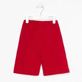 Шорты для мальчика, цвет марсала, рост 110
Шорты для мальчика, цвет марсала, рост 110