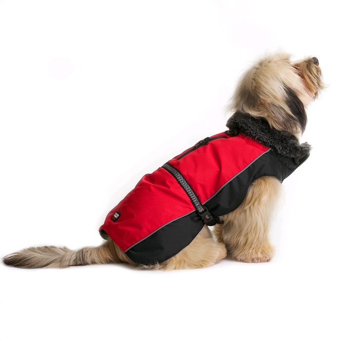 фото Нано куртка dog gone smart aspen parka зимняя с меховым воротником, дс 45,7 см, красная