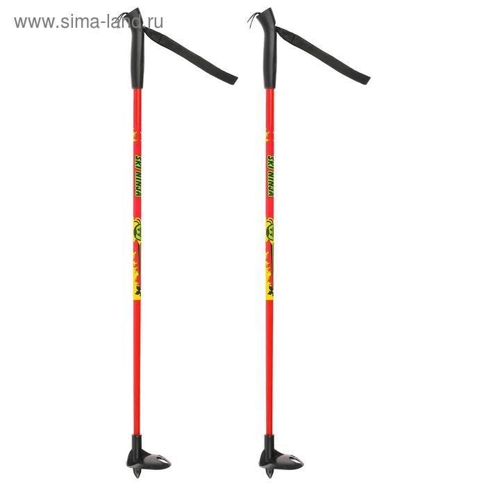 Палки лыжные стеклопластиковые, длина 70 см, цвета микс
Палки лыжные стеклопластиковые, длина 70 см, цвета микс