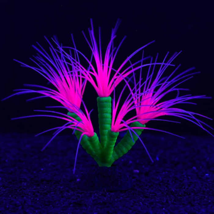 Декор для аквариума Coral Plant силиконовое, светящееся в темноте, 14 х 17 см, фиолетовый
Декор для аквариума Coral Plant силиконовое, светящееся в темноте, 14 х 17 см, фиолетовый