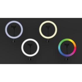 Светодиодная кольцевая лампа на штативе Ritmix RRL-263, 26см, RGB, 9 режимов, USB, кабель 2м
Светодиодная кольцевая лампа на штативе Ritmix RRL-263, 26см, RGB, 9 режимов, USB, кабель 2м