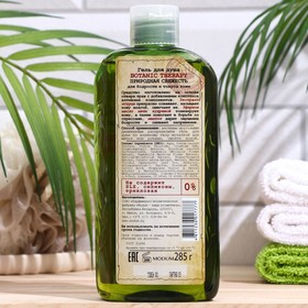 Гель для душа Botanic Therapy "Природная свежесть", для бодрости и тонуса кожи, 285 г
Гель для душа Botanic Therapy "Природная свежесть", для бодрости и тонуса кожи, 285 г