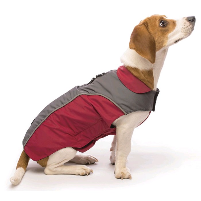 фото Плащ дождевик dog gone smart, флисовая подкладка nanobraker, р 20, красно-серый