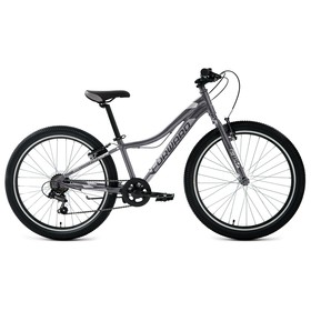 Велосипед 24" Forward Twister 1.0, 2022, цвет черный/серебристый, размер 12"
Велосипед 24" Forward Twister 1.0, 2022, цвет черный/серебристый, размер 12"