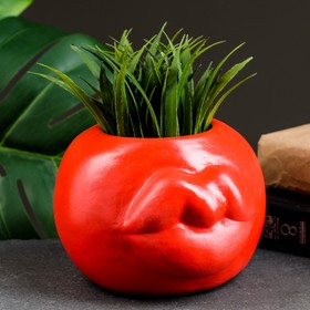 Кашпо «Губы» 13х11см, красное
Кашпо «Губы» 13х11см, красное