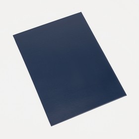 Папка для документов, 1 комплект, цвет синий
Папка для документов, 1 комплект, цвет синий
