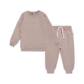 Костюм детский: свитшот и брюки, рост 98 см, цвет капучино
Костюм детский: свитшот и брюки, рост 98 см, цвет капучино